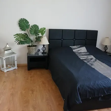 Апартаменты Apartament Na Ratajach